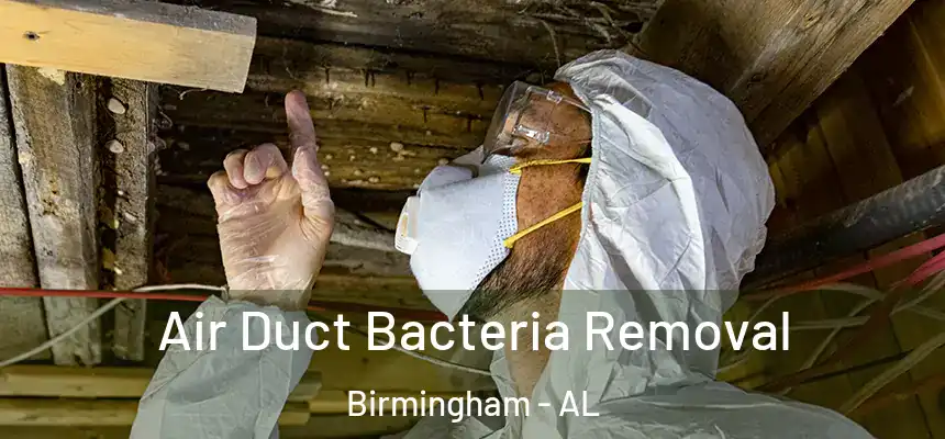 Air Duct Bacteria Removal Birmingham - AL