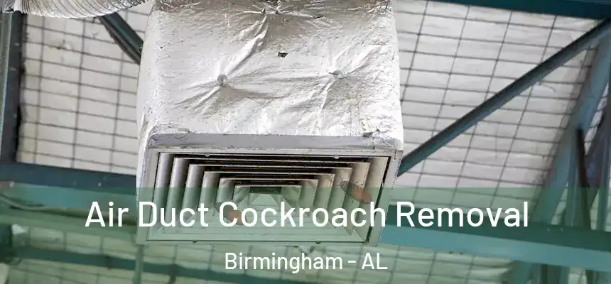 Air Duct Cockroach Removal Birmingham - AL