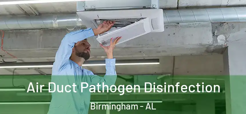 Air Duct Pathogen Disinfection Birmingham - AL