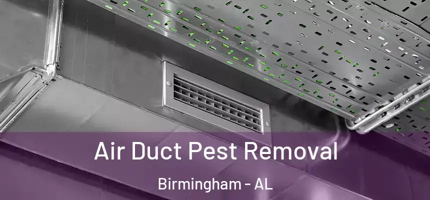 Air Duct Pest Removal Birmingham - AL