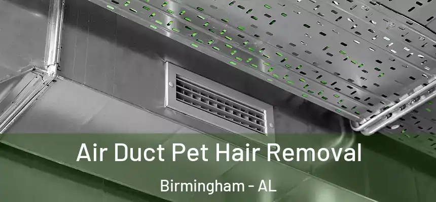 Air Duct Pet Hair Removal Birmingham - AL