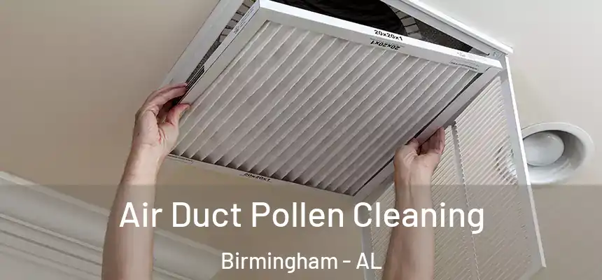 Air Duct Pollen Cleaning Birmingham - AL