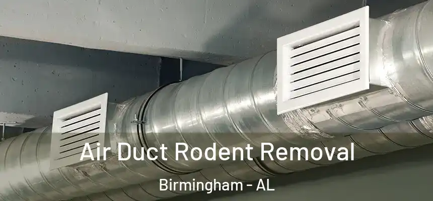 Air Duct Rodent Removal Birmingham - AL
