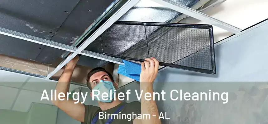 Allergy Relief Vent Cleaning Birmingham - AL