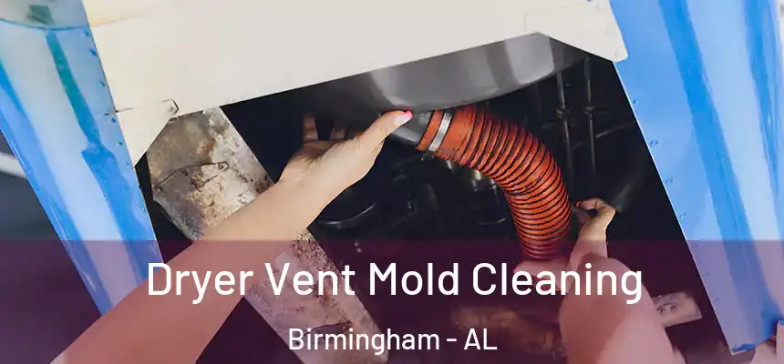 Dryer Vent Mold Cleaning Birmingham - AL