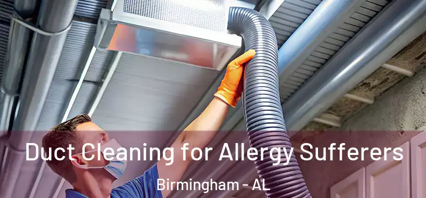 Duct Cleaning for Allergy Sufferers Birmingham - AL