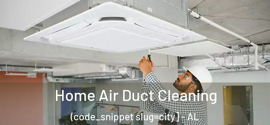 Home Air Duct Cleaning (code_snippet slug=city] - AL