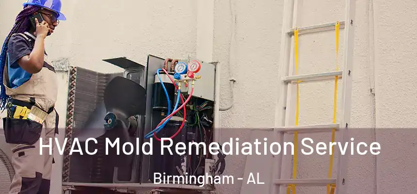HVAC Mold Remediation Service Birmingham - AL