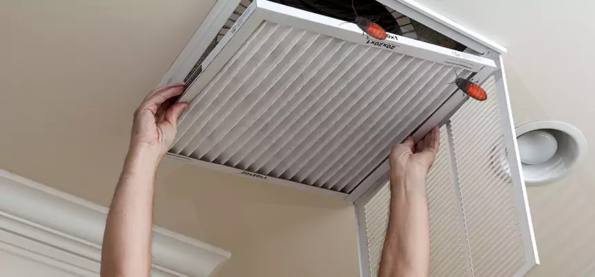 Our Insect Removal from Air Ducts Services in Birmingham, AL