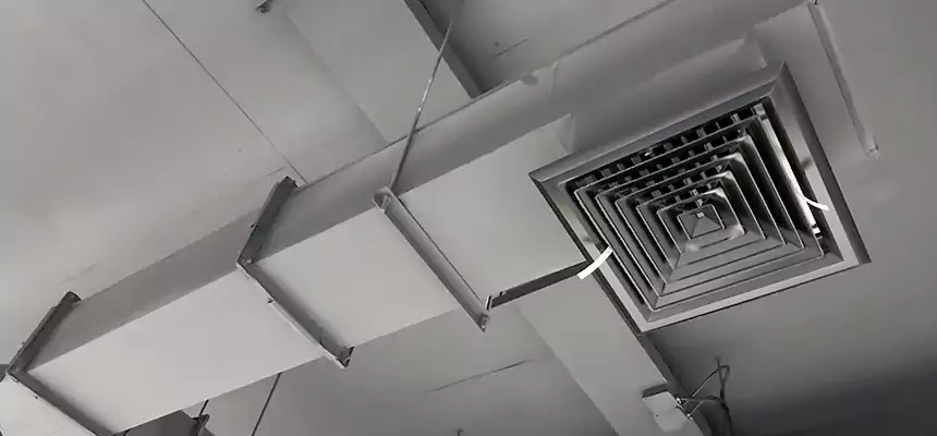 Our Rodent Droppings In Vents Services in Birmingham, AL