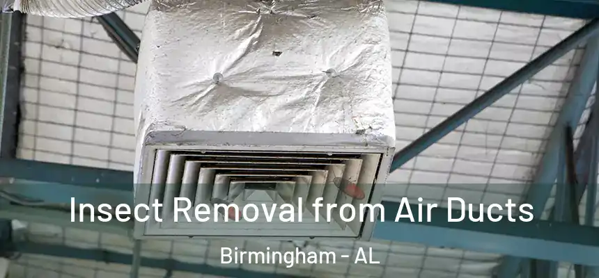 Insect Removal from Air Ducts Birmingham - AL