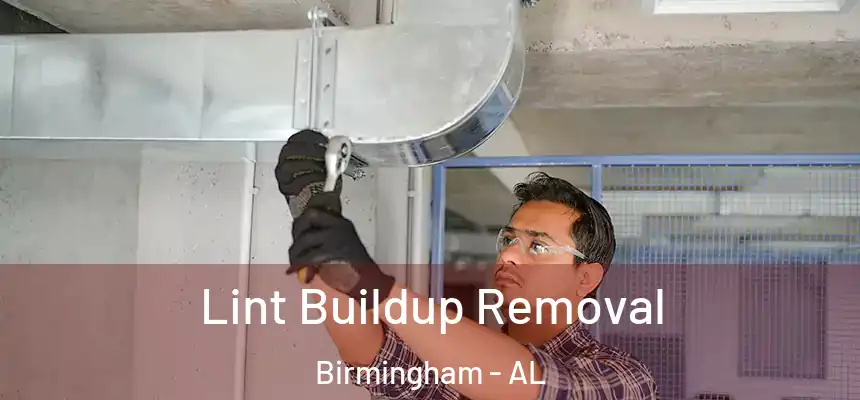 Lint Buildup Removal Birmingham - AL