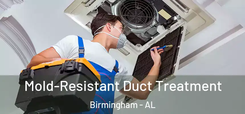 Mold-Resistant Duct Treatment Birmingham - AL