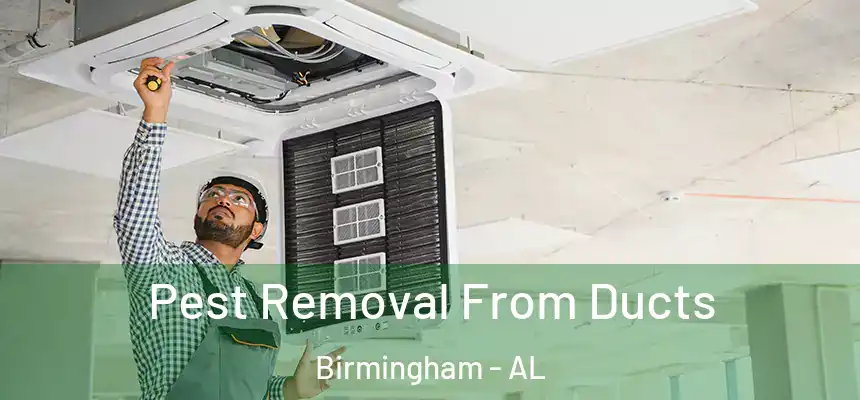 Pest Removal From Ducts Birmingham - AL