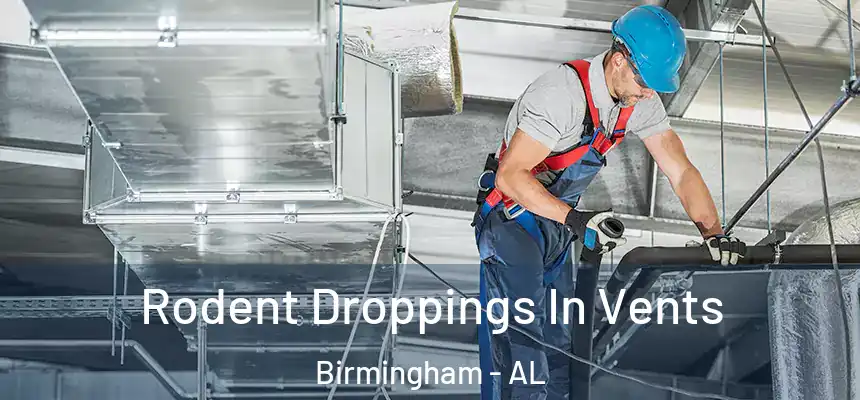 Rodent Droppings In Vents Birmingham - AL