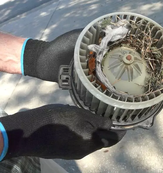 About Air Duct Rat Removal in Birmingham, AL