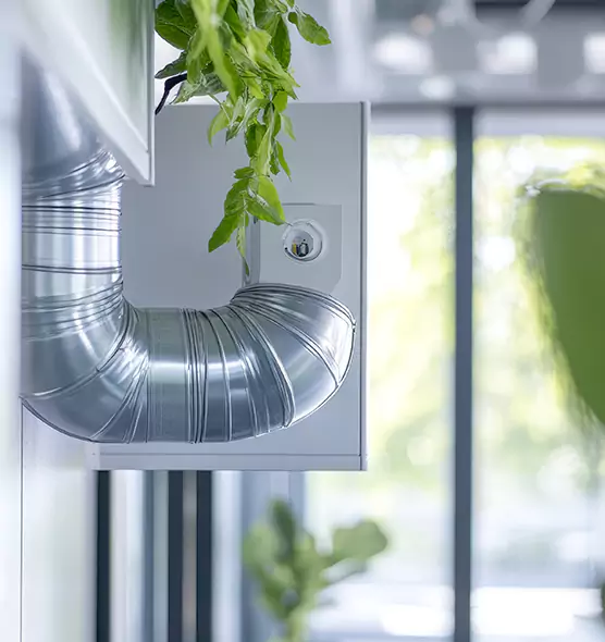 Professional Eco-Safe Dryer Vent Cleaning in Birmingham, AL