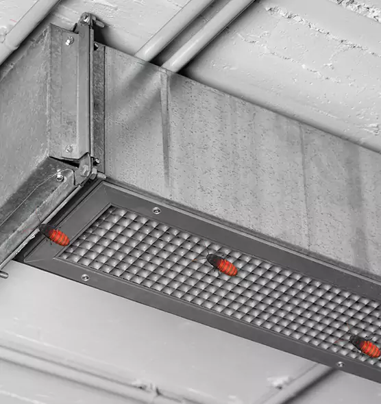 Affordable Insect Removal from Air Ducts in Birmingham, AL