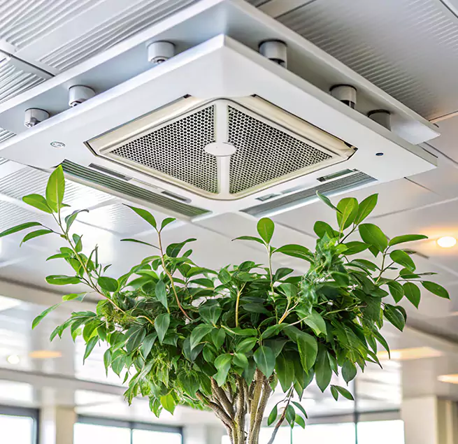 Why Homeowners & Businesses Trust Us in Birmingham, AL?