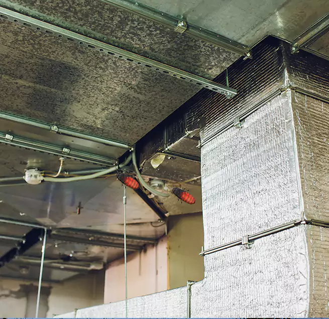 Why Homeowners & Businesses Trust Us Birmingham, AL?