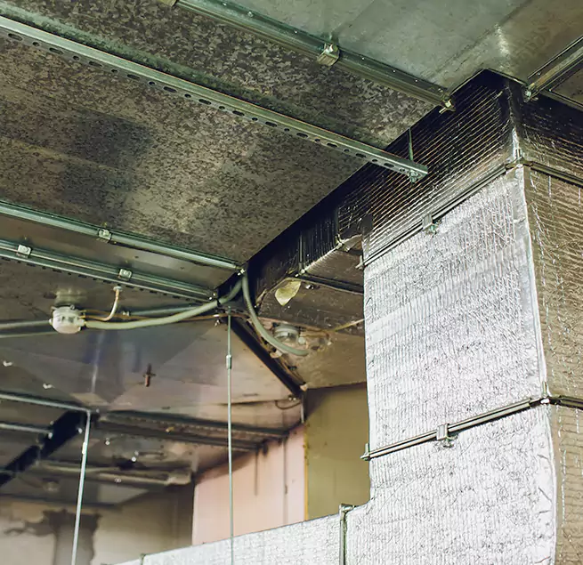 Why Homeowners & Businesses Trust Us in Birmingham, AL?